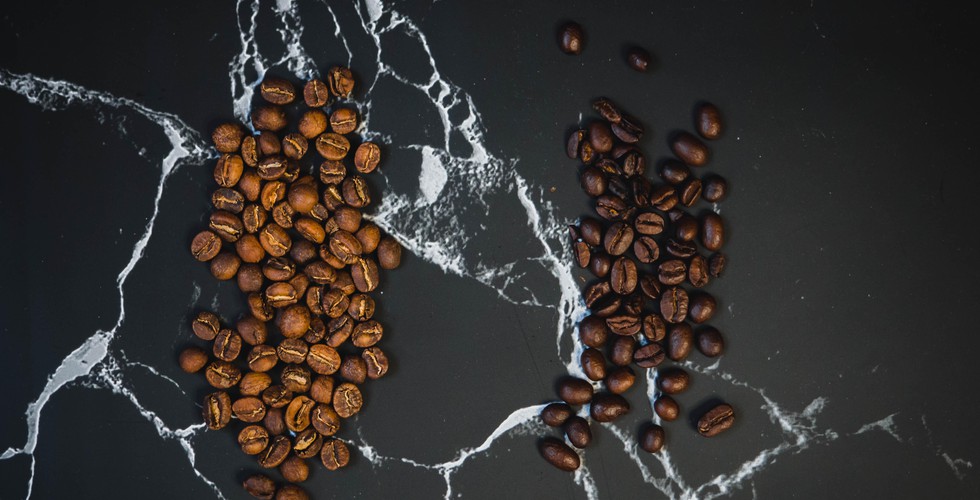 Arabica & Robusta: What's The Difference?