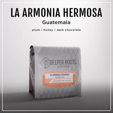 Deeper Roots LA ARMONIA HERMOSA | GUATEMALA-1