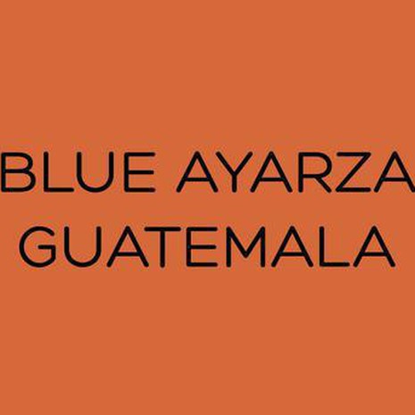 The Library BLUE AYARZA - GUATEMALA-1