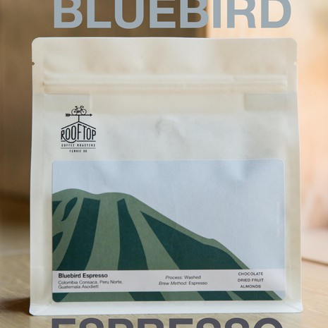 Rooftop Bluebird Blend-1