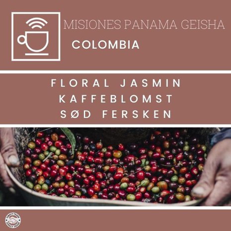 Clevercoffee Panama Geisha Missions - Colombia-1