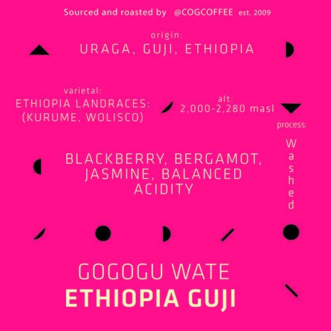 Cognoscenti Ethiopia Gogogu Wate-1