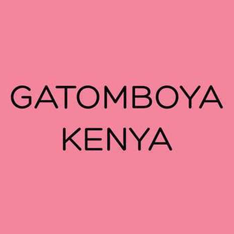 The Library GATOMBOYA - KENYA-1