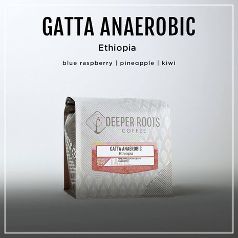 Deeper Roots GATTA ANAEROBIC – ETHIOPIA-1