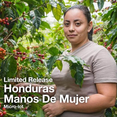 Koffee Kult HONDURAS MANOS DE MUJER-1