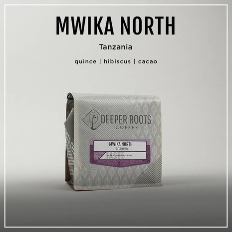 Deeper Roots MWIKA NORTH | TANZANIA-1