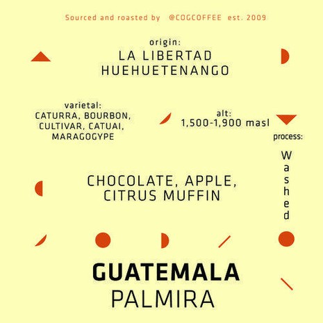 Cognoscenti Guatemala Palmira-1