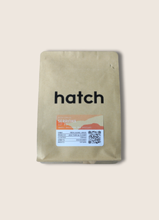 Hatch Specialty Coffee - Blackout