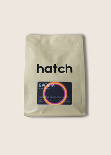 Hatch Specialty Coffee - Blackout