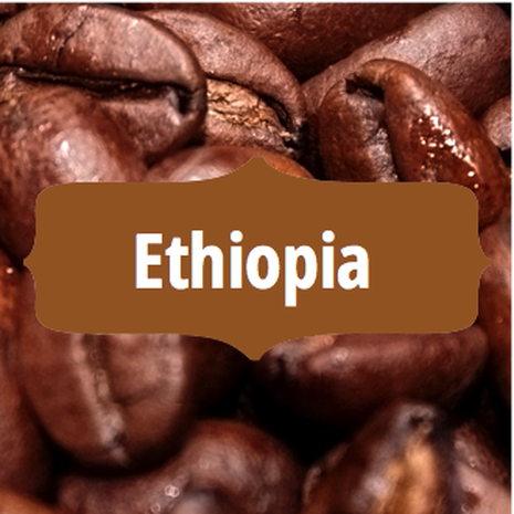 Poppa-Bean Ethiopia-1